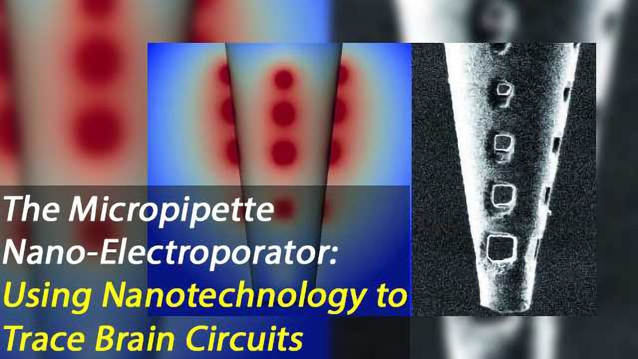 Nanofabrication of Micropipettes Enables Simultaneous Electroporation of 250 Brain Cells