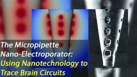 Nanofabrication of Micropipettes Enables Simultaneous Electroporation of 250 Brain Cells