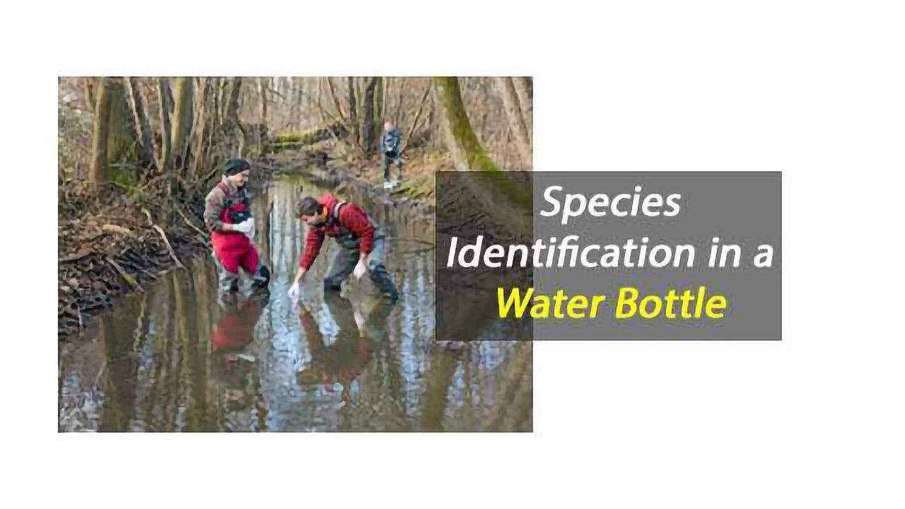 Understanding How Conditions Affect Environmental DNA Analysis