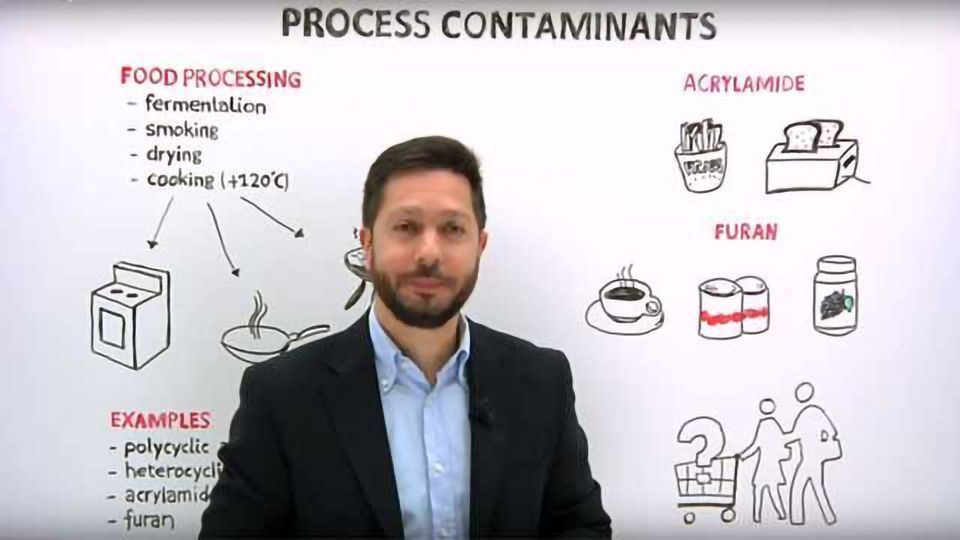 Food Processing Contaminants content piece image