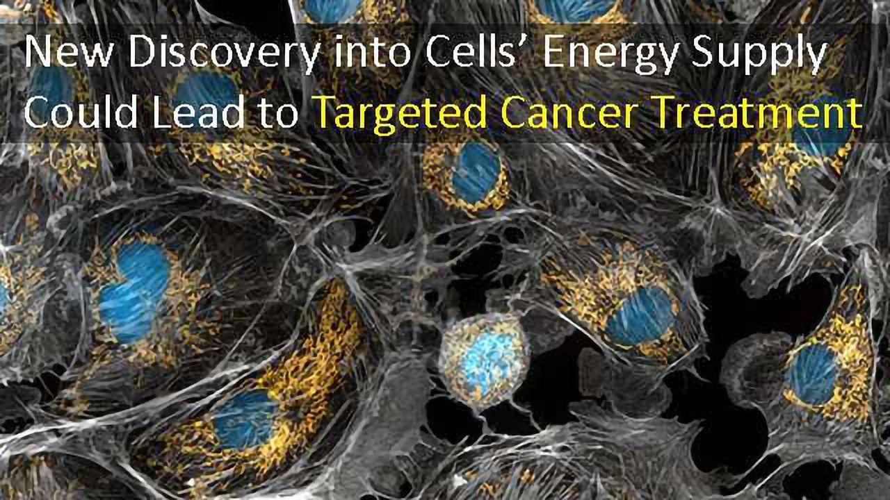 Targeted Cancer Treatment Could be Possible Thanks to Insights into Cells’ Energy Supply