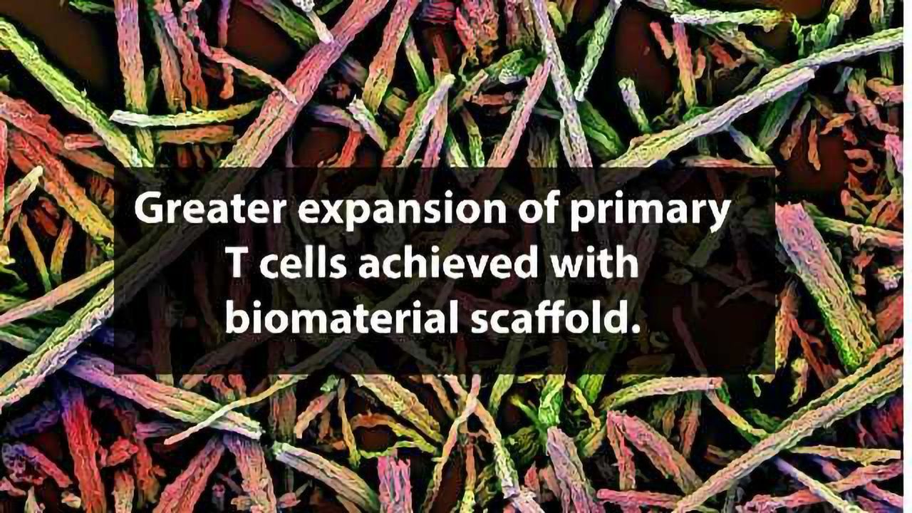 Fast-tracking T Cell Therapies with Immune-mimicking Biomaterials