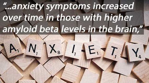 Longitudinal Study: Anxiety in Adults Could be Indicative of Alzheimer's Disease