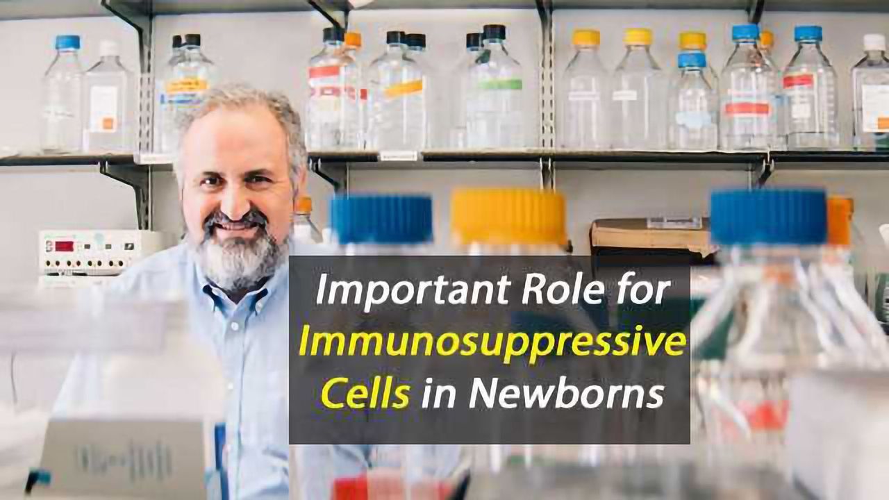 Immunosuppressive Cells in Newborns Play Important Role in Controlling Inflammation in Early Life