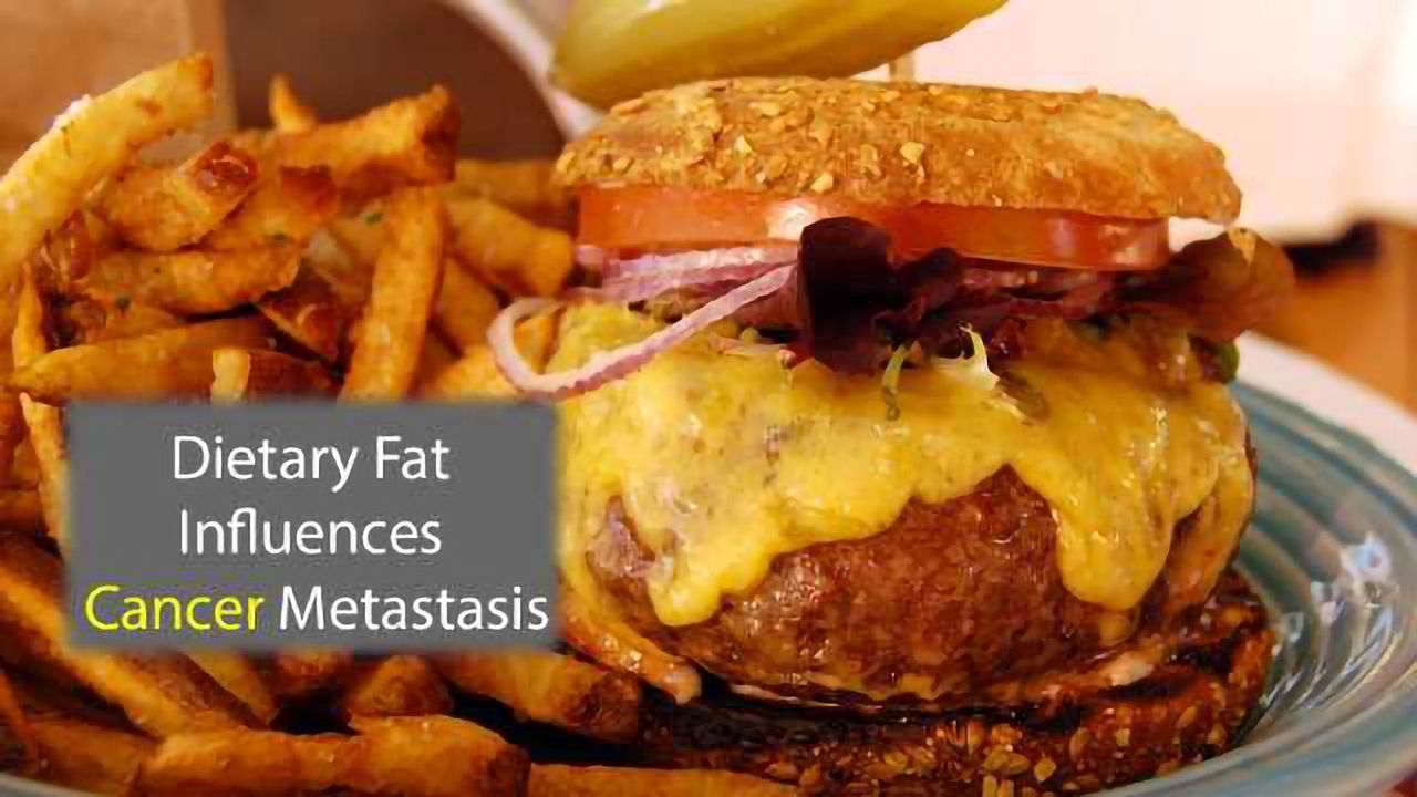 Dietary Fat Metabolism May Promote Metastasis