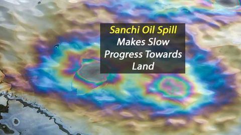 Sanchi Oil Spill Contamination Could Take Three Months to Reach Mainland