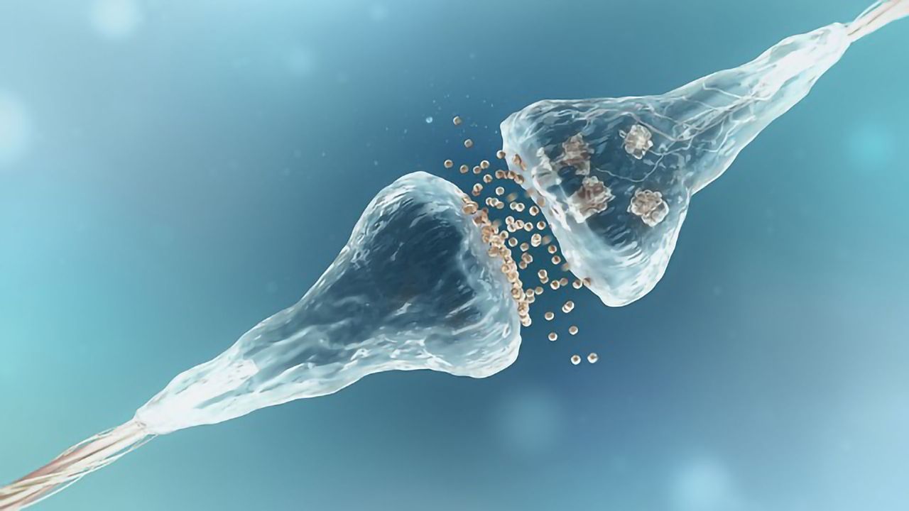 Imaging Nerve Cell Function: All-Optical Neurophysiology