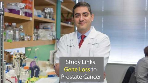 Missing Hormone Gene Linked to Incurable Prostate Cancer