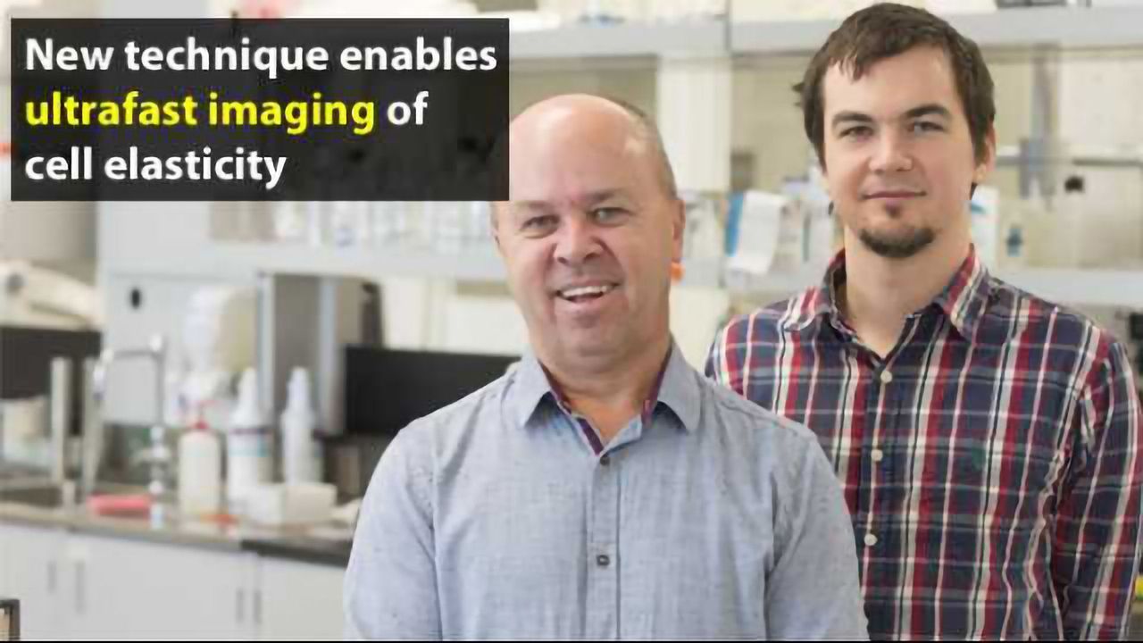 "Cell Quake Elastography" Maps Elasticity of Cell Components