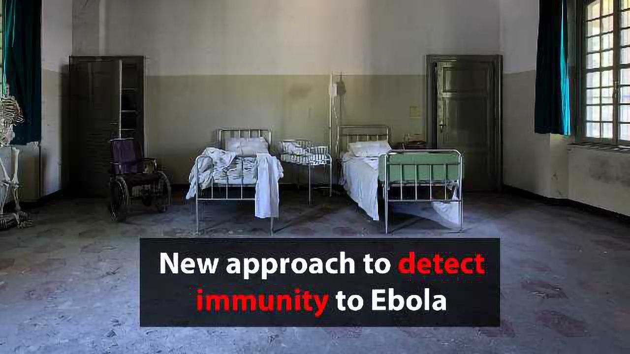Diagnosing Immunity to Ebola With Paper Tests & Smartphones
