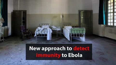 Diagnosing Immunity to Ebola With Paper Tests & Smartphones