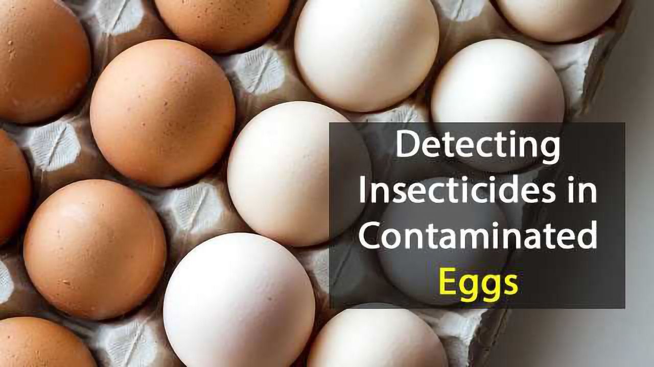 Detecting Insecticides in Contaminated Eggs