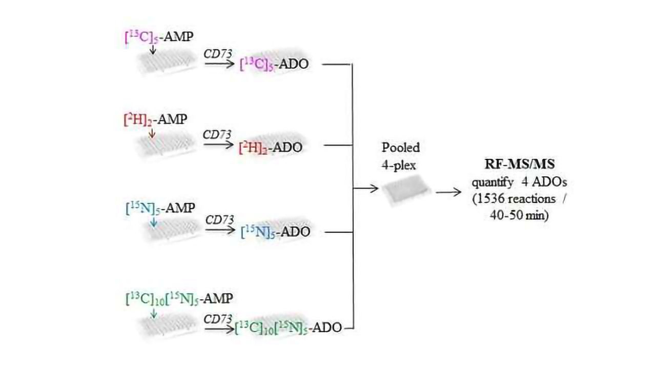 Robust Multiplex Mass Spectrometric Assay for Screening Small-Molecule Inhibitors