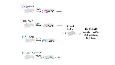 Robust Multiplex Mass Spectrometric Assay for Screening Small-Molecule Inhibitors