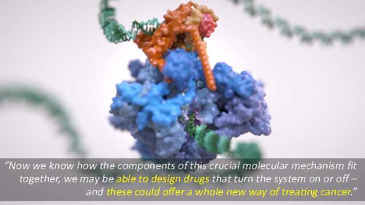 Researchers Zoom in on DNA Code Being Read in Cells