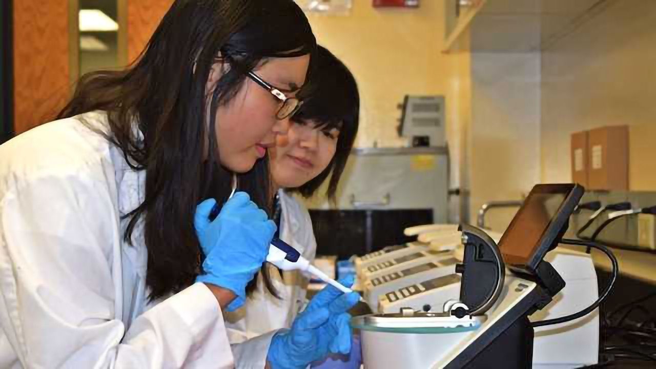 Pioneering Method Enables Screening Millions of Human Antibodies for Rapid Therapeutic Discovery