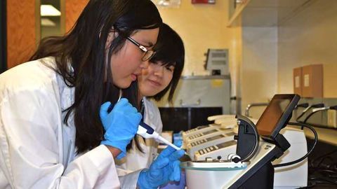 Pioneering Method Enables Screening Millions of Human Antibodies for Rapid Therapeutic Discovery