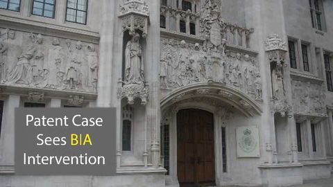 Patent Plausability Case Sees BIA Intervention