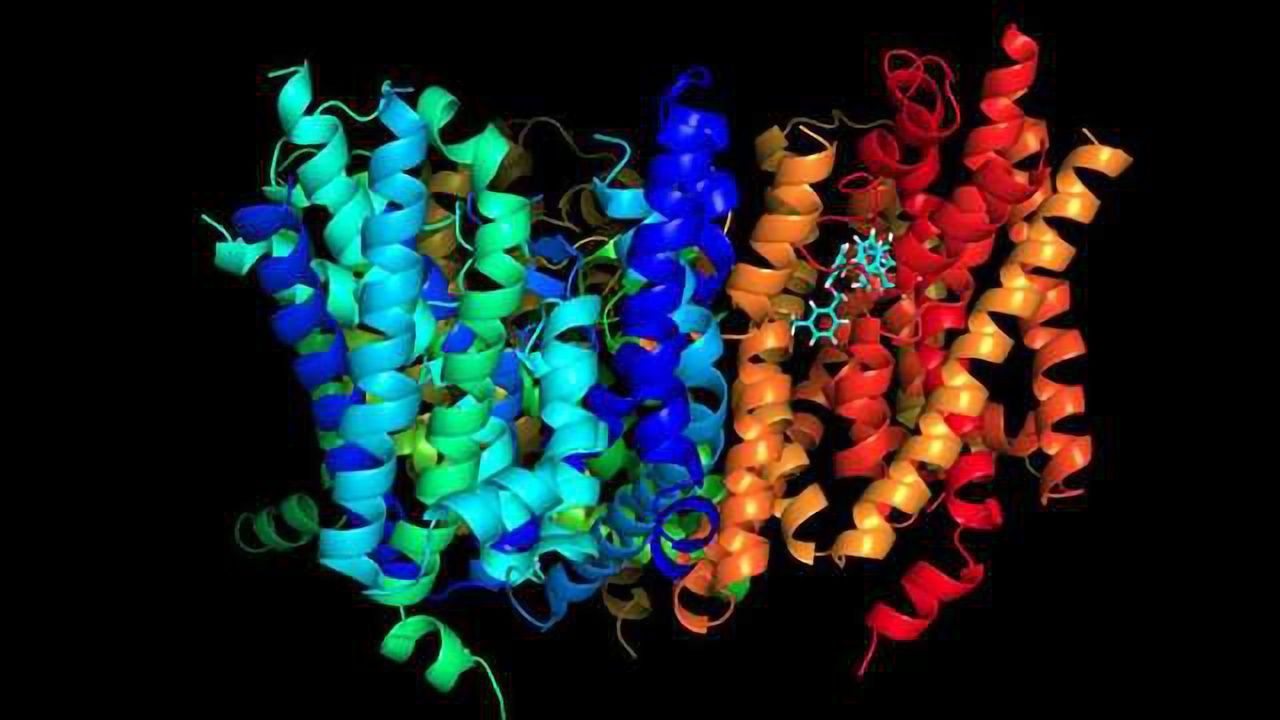 Small Compound Able to Stave Tumor and Stop its Growth