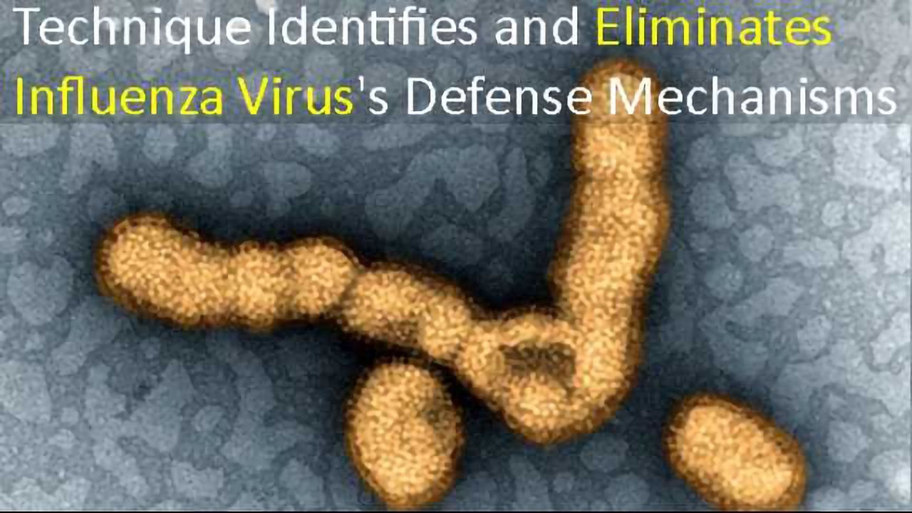 Radical New Approach to Vaccine Development Could Help Reduce Illness From Flu