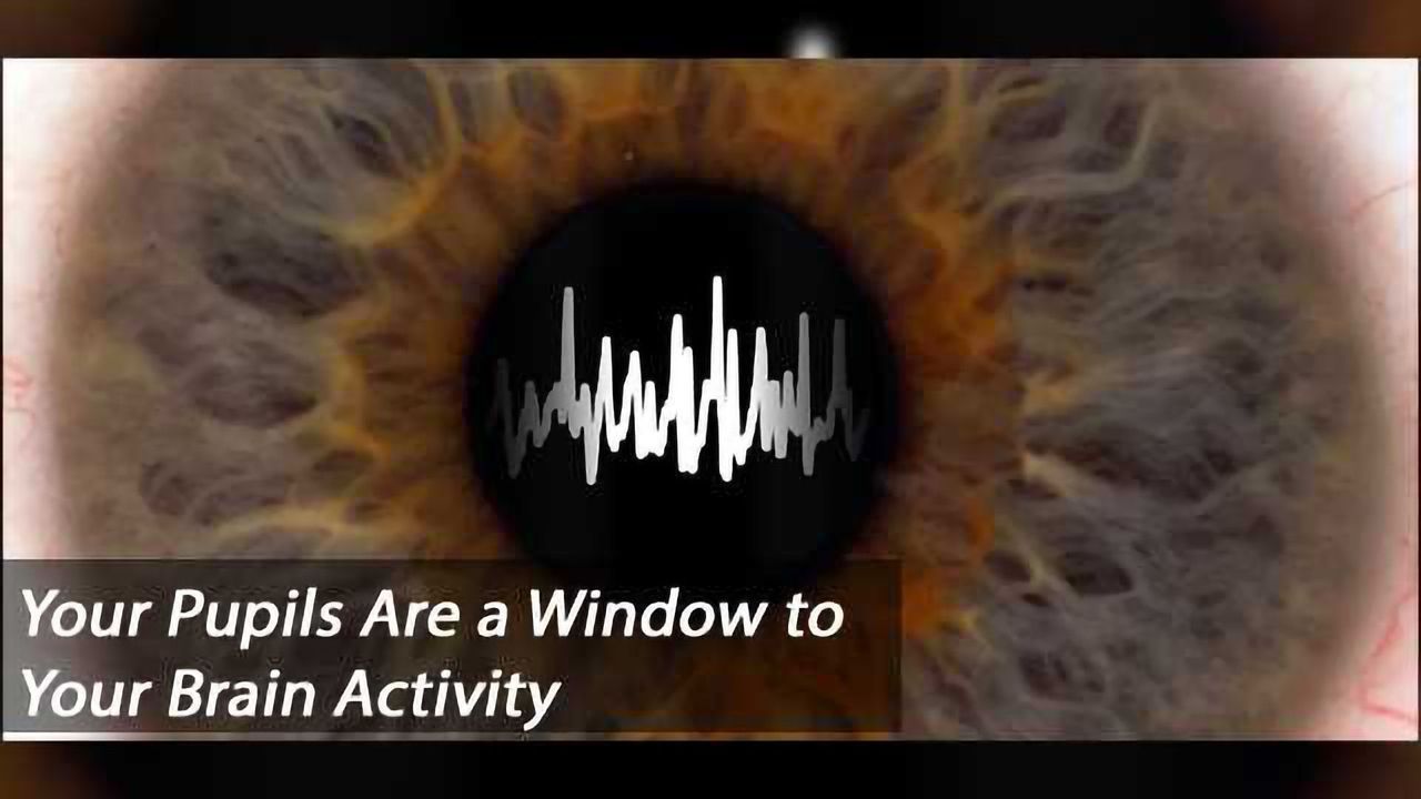 Pupil Size Couples to Cortical States to Protect Deep Sleep Stability