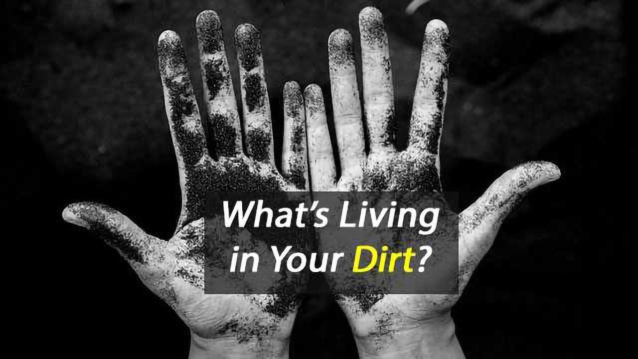 First Global Atlas of Soil Bacteria