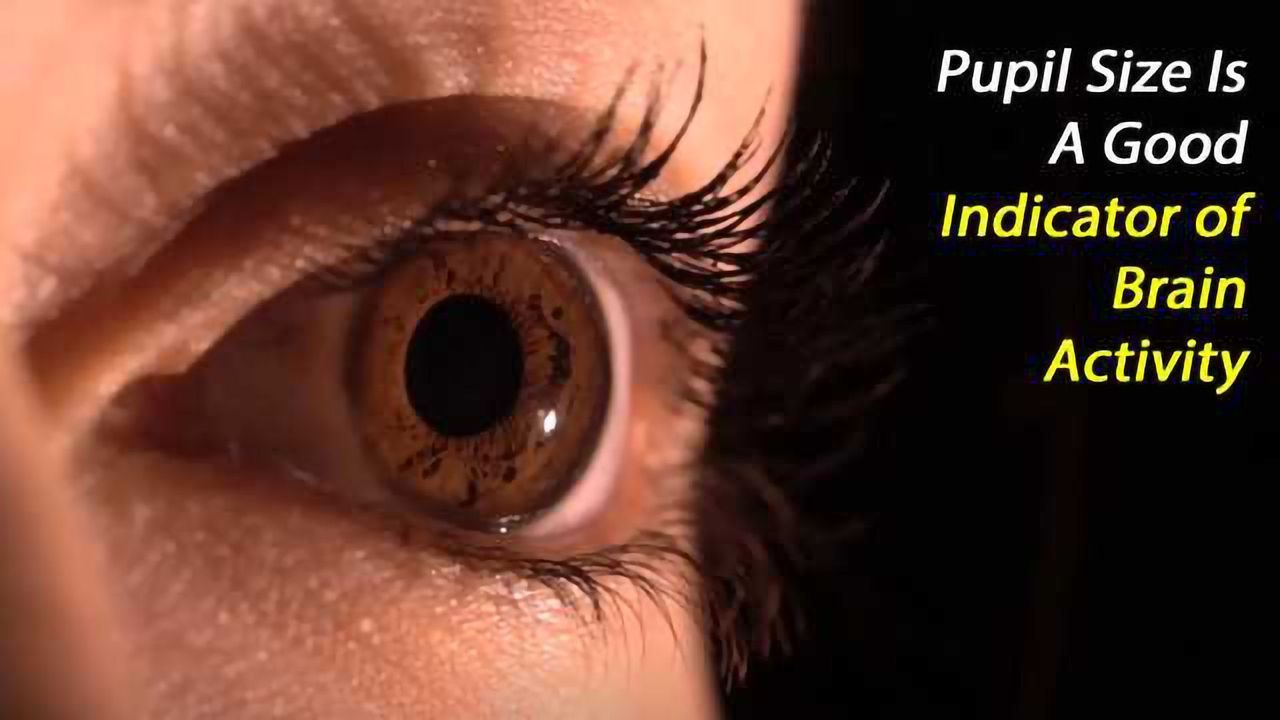 Pupil Size as an Indicator of Brain Activity