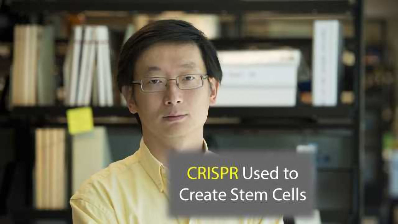 CRISPR Technology Used to Make Stem Cells