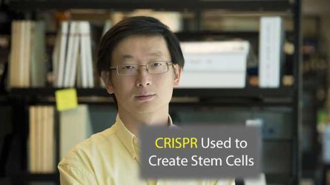 CRISPR Technology Used to Make Stem Cells