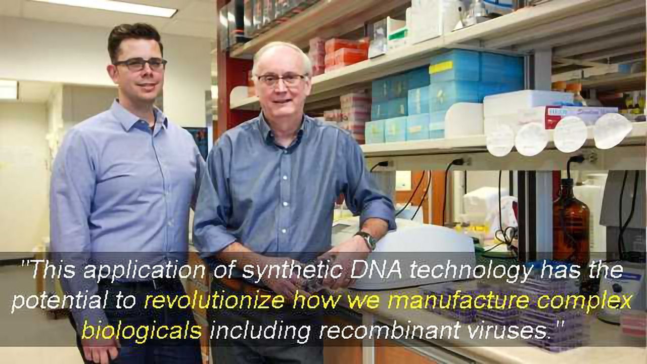 Synthetic Horsepox Virus Could Lead to More Effective Smallpox Vaccine