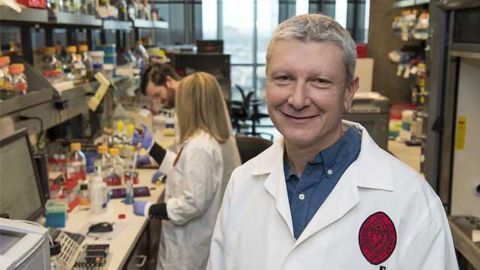 Researchers Uncover Muscle Growth Inhibitor Activation Mechanism Aiding ALS Treatment Efforts