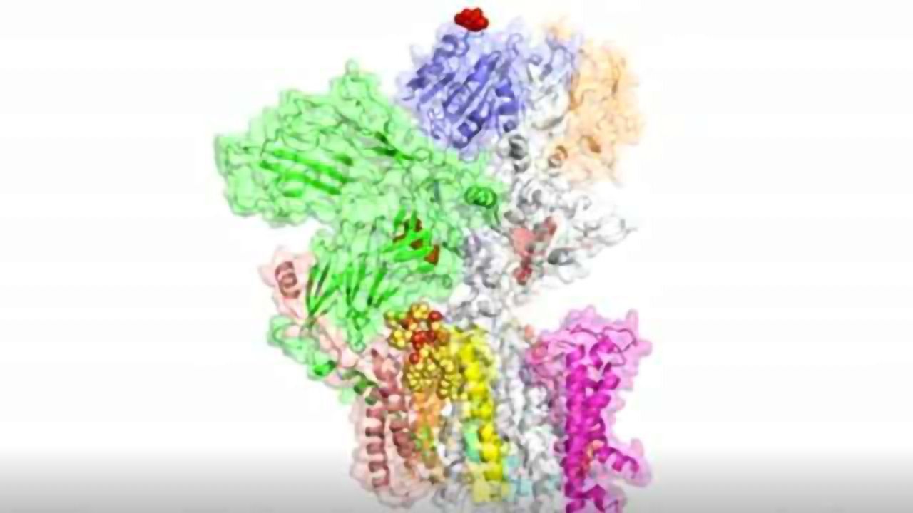 Potential Drug Target: Cryo-EM Uncovers Protein Modifying Complex
