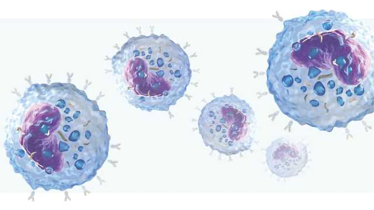 IONTAS to Generate Antibodies using Mammalian Display Technology for a Global Biopharma