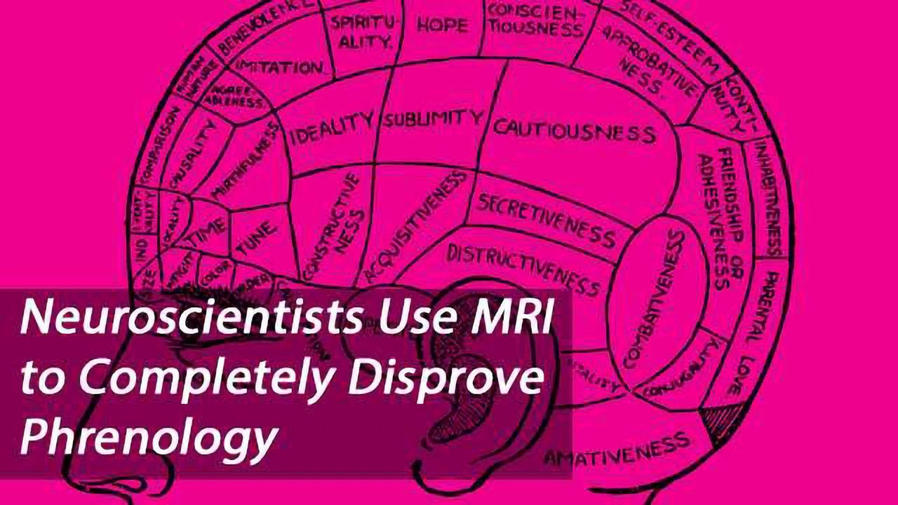 Neuroscientists Scrutinise Phrenology Using MRI