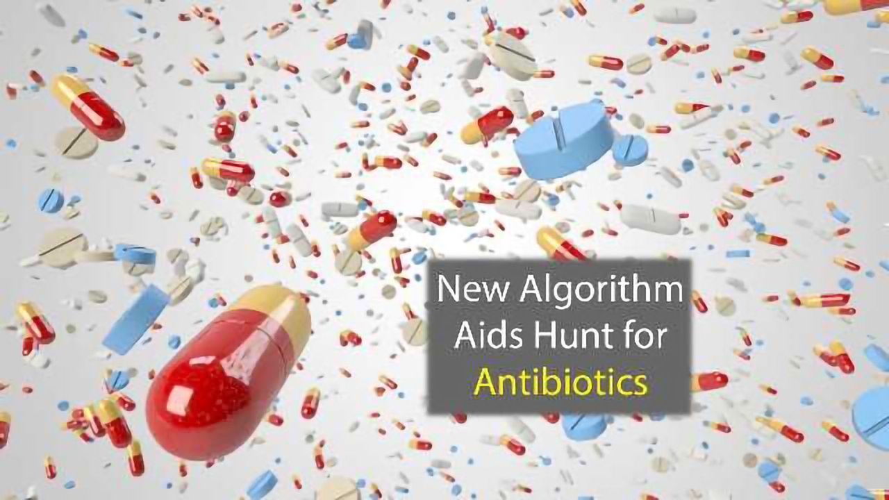 Algorithm Unearths Over 1000 Antibiotic Proteins in a Few Hours