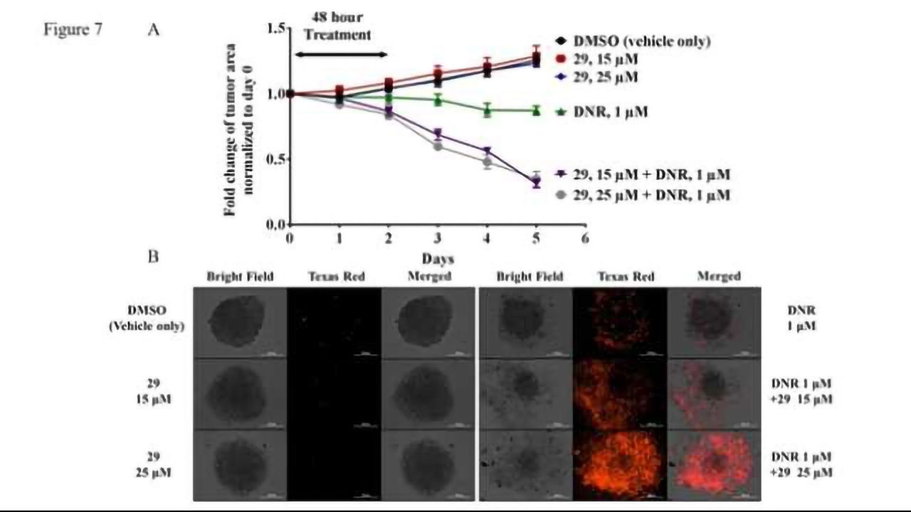 Drug-like Compounds Reverse Chemotherapy Failure for 3 Aggressive Cancers
