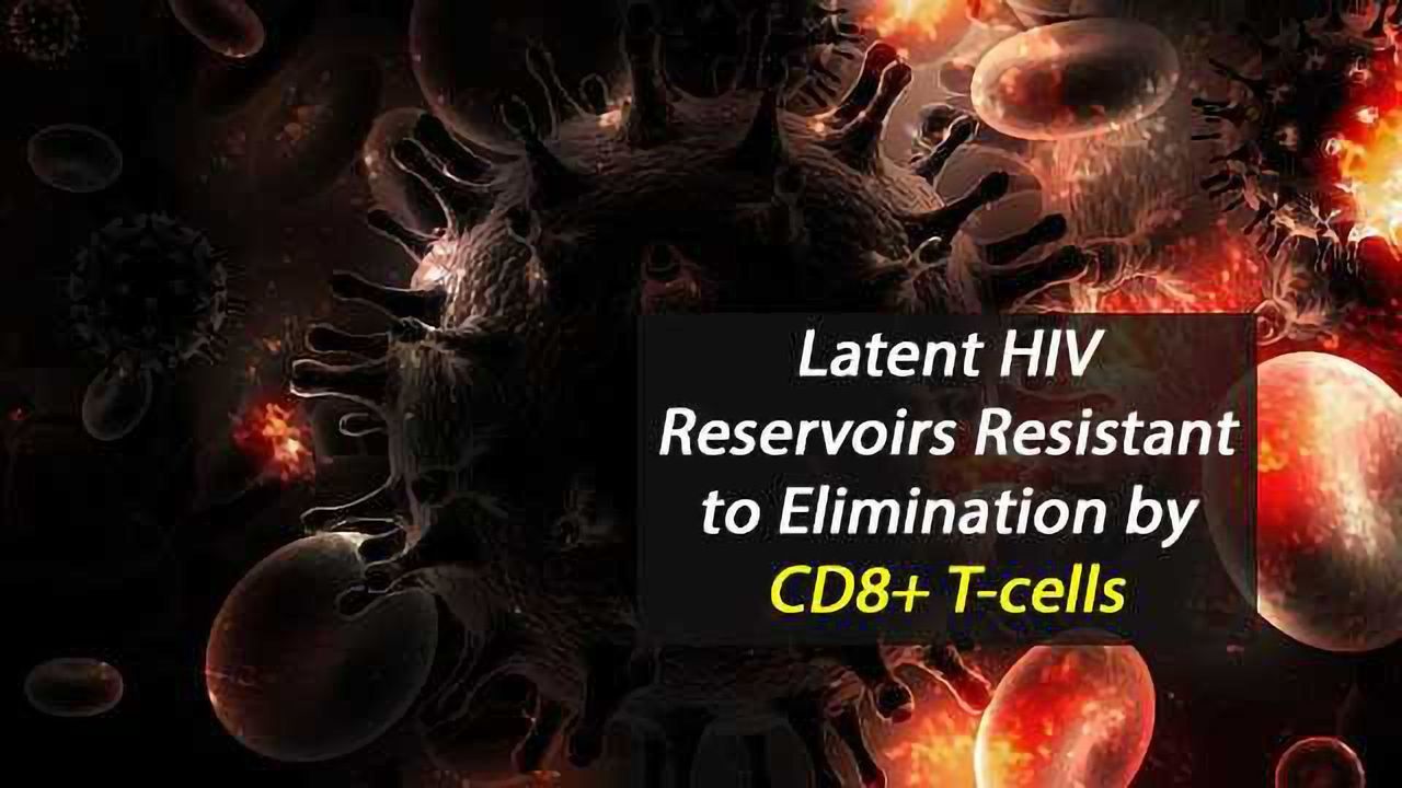 Latent HIV Reservoirs Inherently Resistant to Elimination by CD8+ T-cells