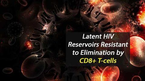 Latent HIV Reservoirs Inherently Resistant to Elimination by CD8+ T-cells