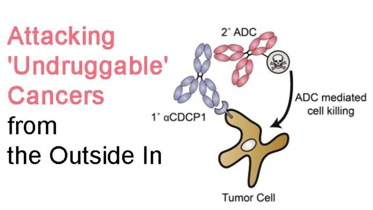 Attacking 'Undruggable' Cancers from the Outside In
