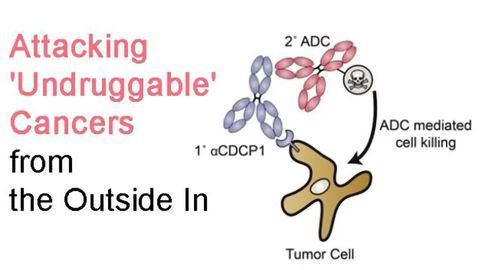 Attacking 'Undruggable' Cancers from the Outside In