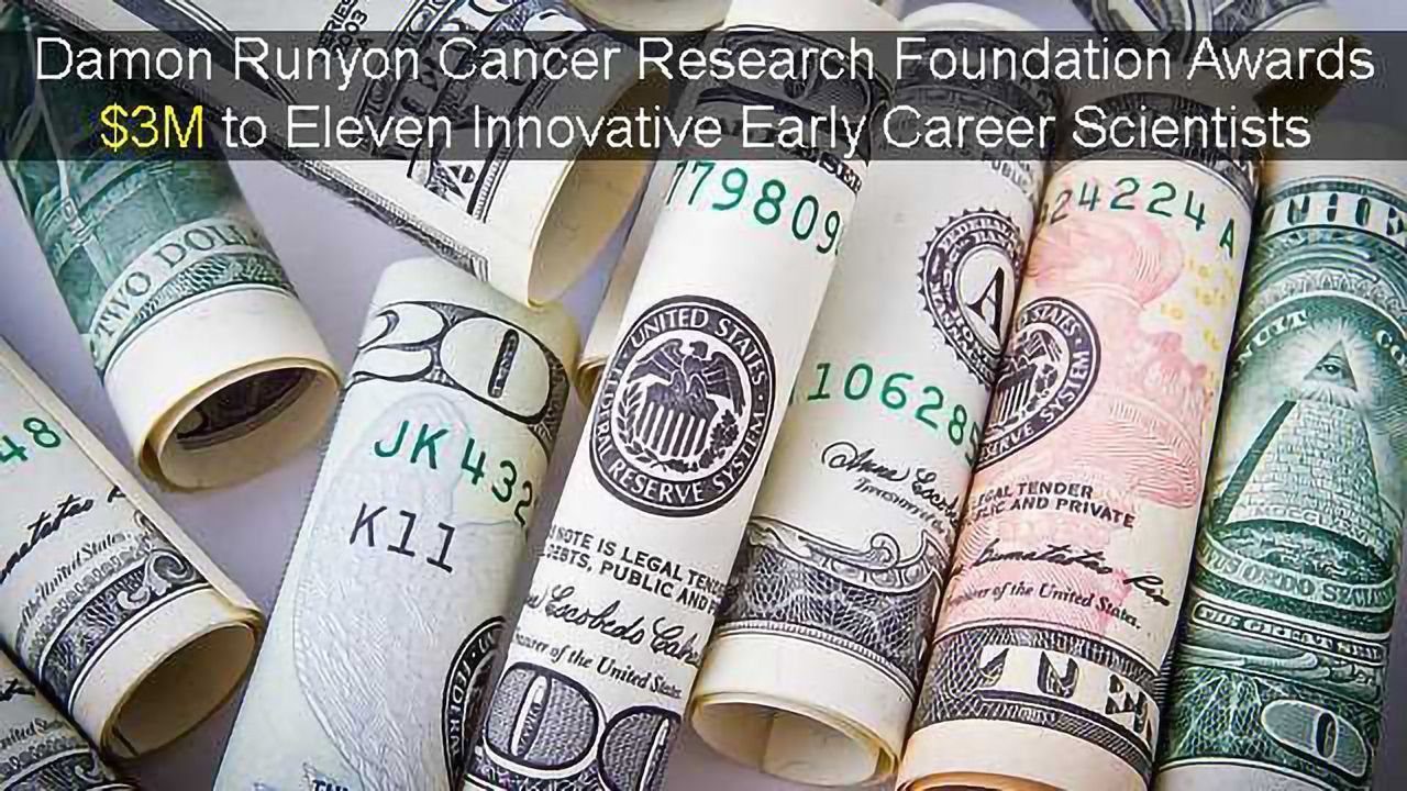 Scientists with Novel Approaches to Fighting Cancer Awarded $3M