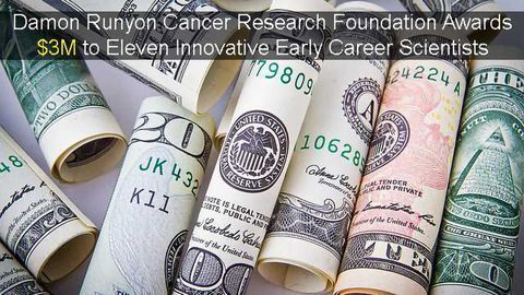 Scientists with Novel Approaches to Fighting Cancer Awarded $3M