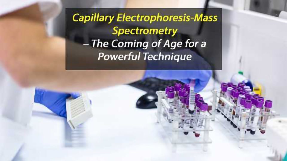 毛细管Electrophoresis-Mass谱——时代的到来为强大的技术内容块的形象