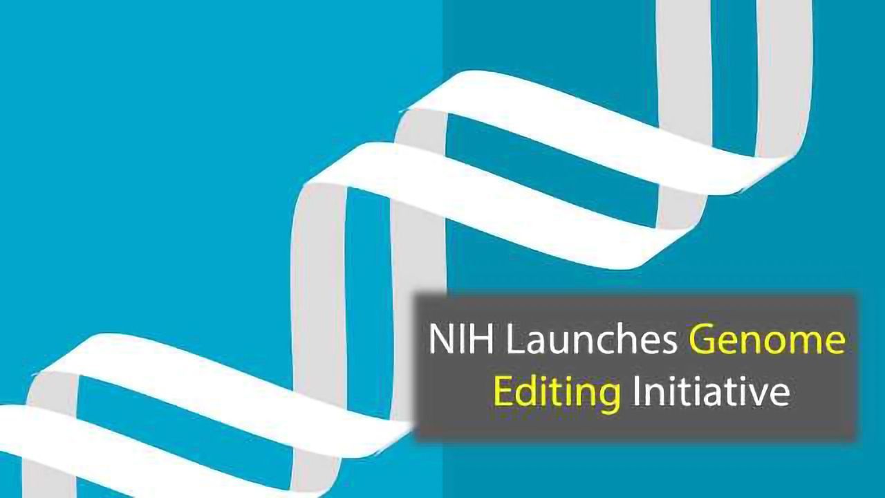 NIH Program Aims to Create Gene Editing Tools