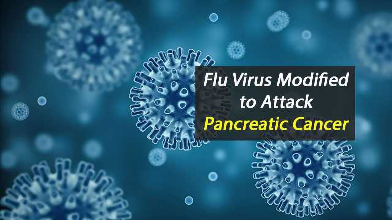 Modified Flu Virus Used to Attack Pancreatic Cancer
