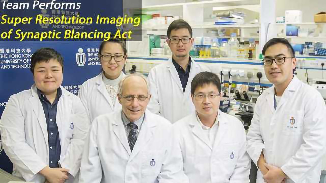 Super-Resolution Imaging Reveals Player Roles in Excitatory/Inhibitory Balance at the Synapse