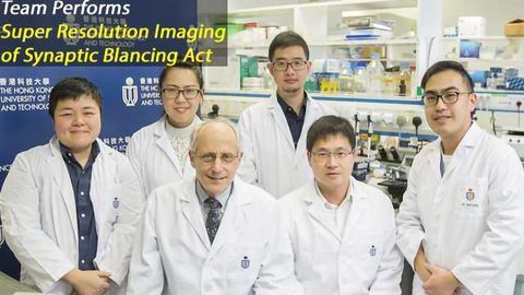 Super-Resolution Imaging Reveals Player Roles in Excitatory/Inhibitory Balance at the Synapse