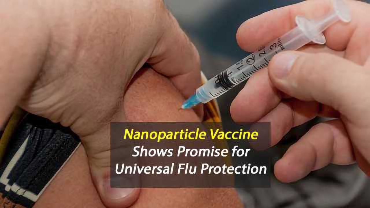 Nanoparticle Vaccine Shows Promise For Universal Protection Against Flu