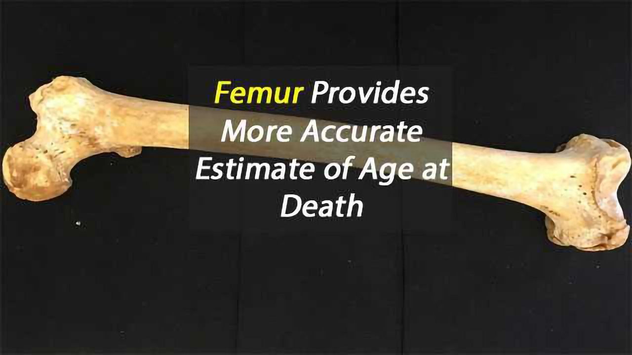 Femur Offers Better Measure of Age at Death