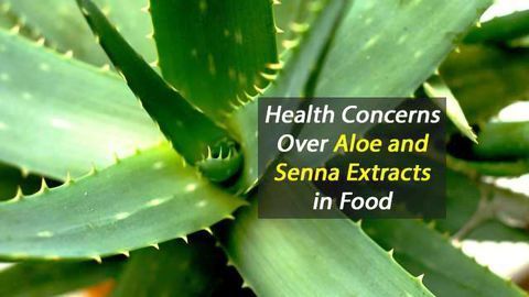Health Concerns Over Aloe and Senna Extracts in Food